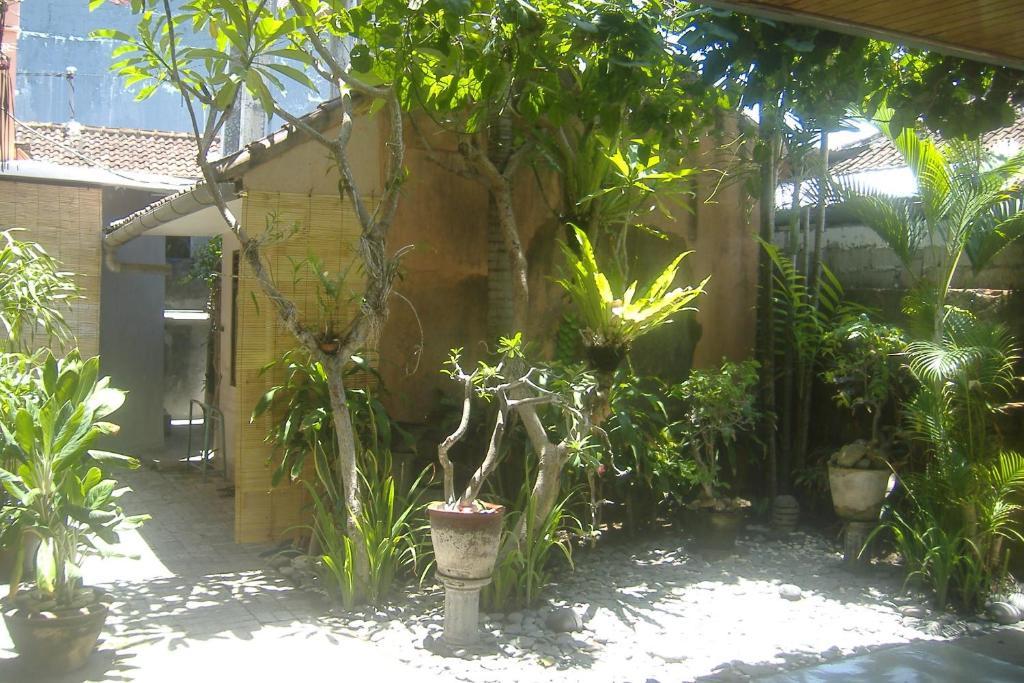 Mustika Inn Kuta Lombok Extérieur photo